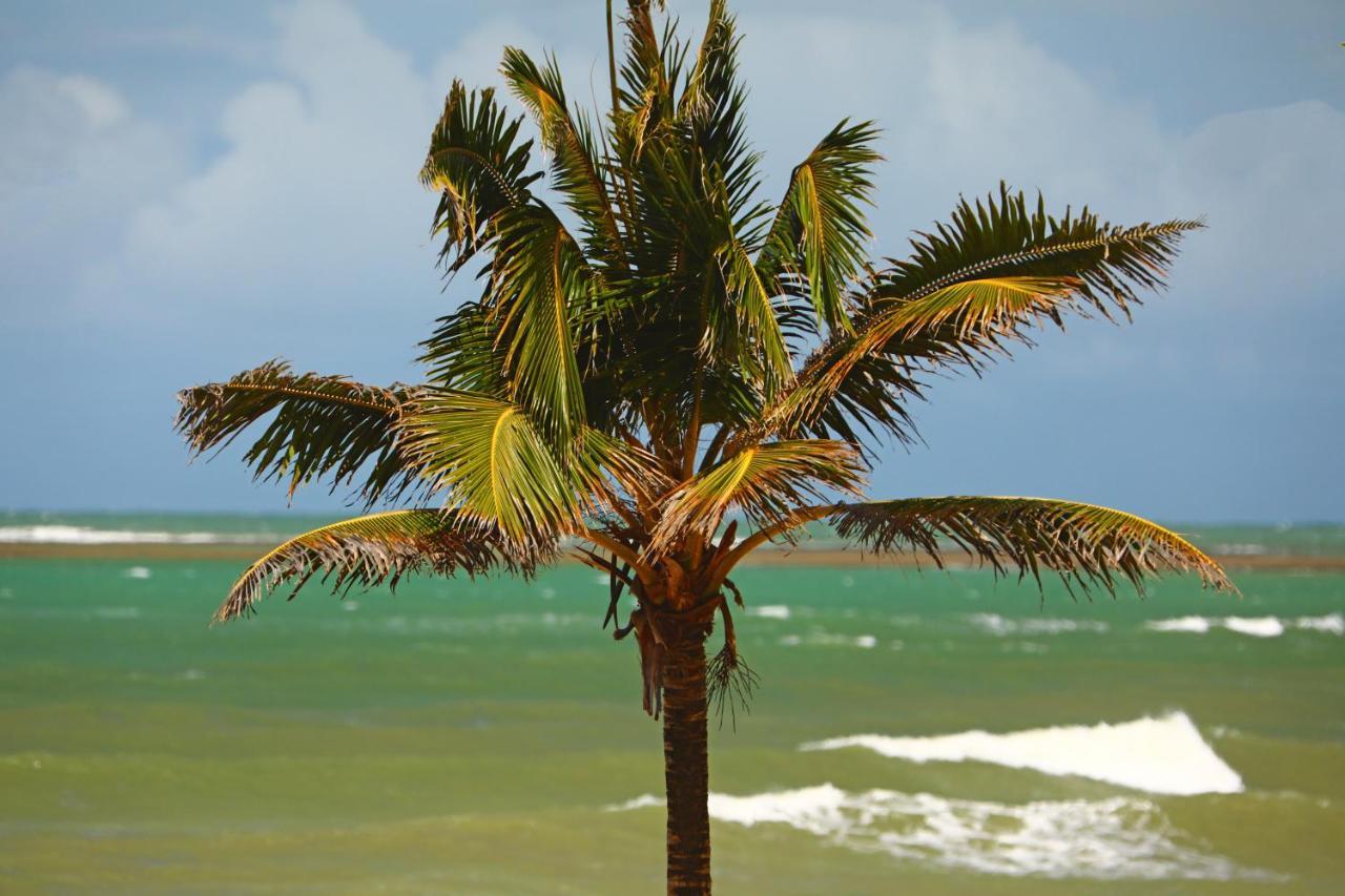 Mangaju Porto de Galinhas